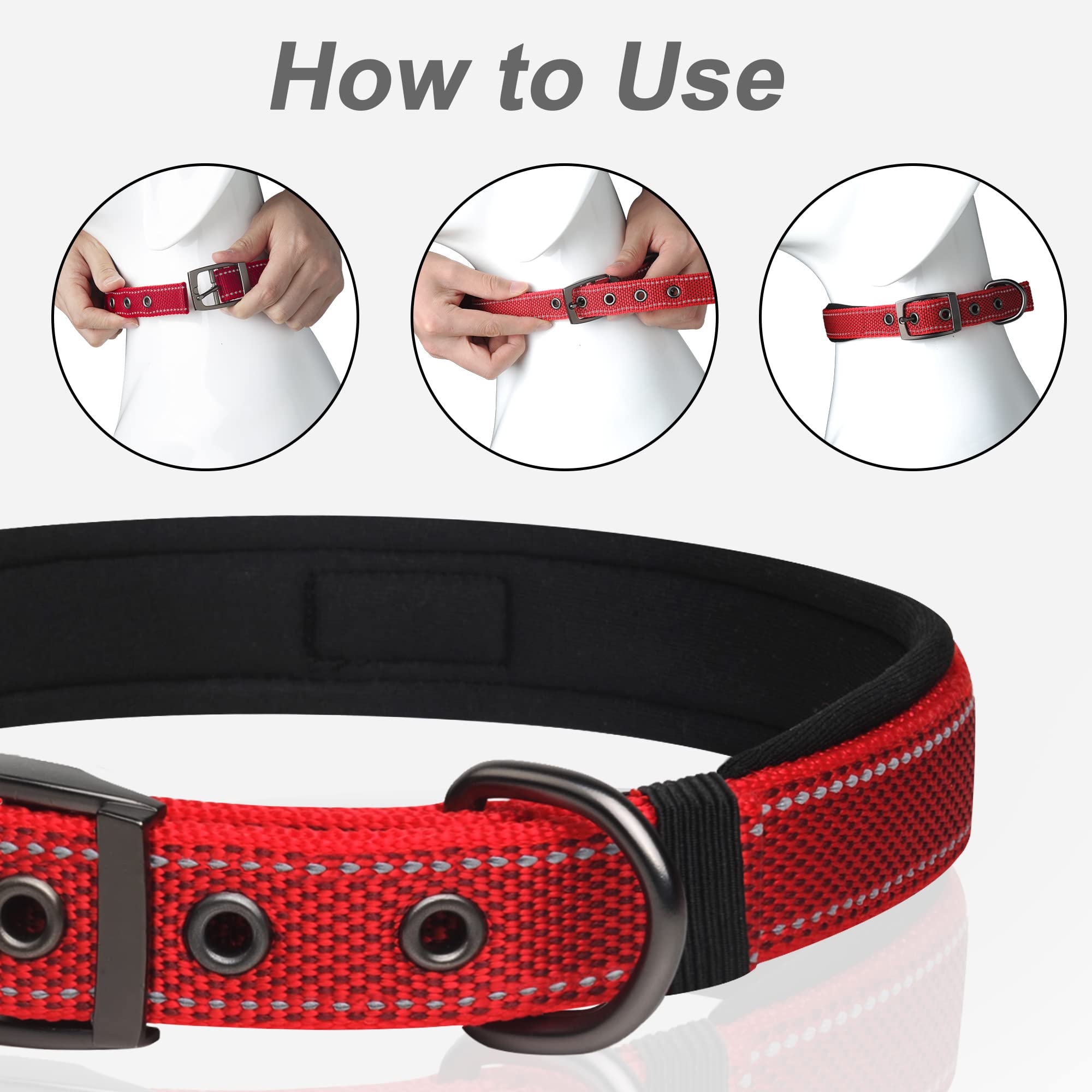 PetiFine collar worn on a dog during a morning walk for secure fit.