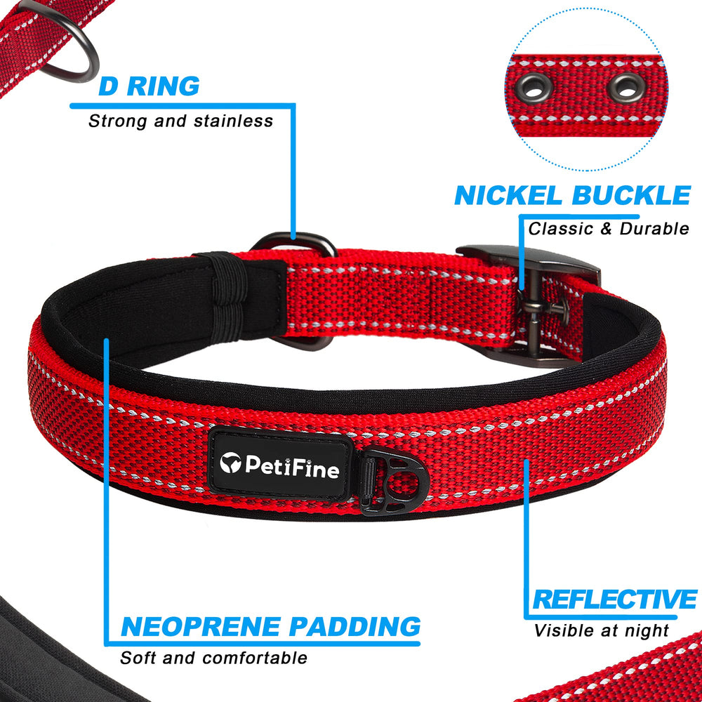 PetiFine reflective collar with 360° straps for better visibility