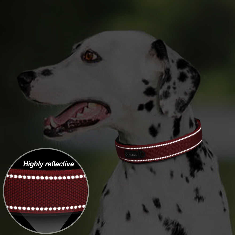 PetiFine durable knitted webbing highlighting strength and long-lasting use.
