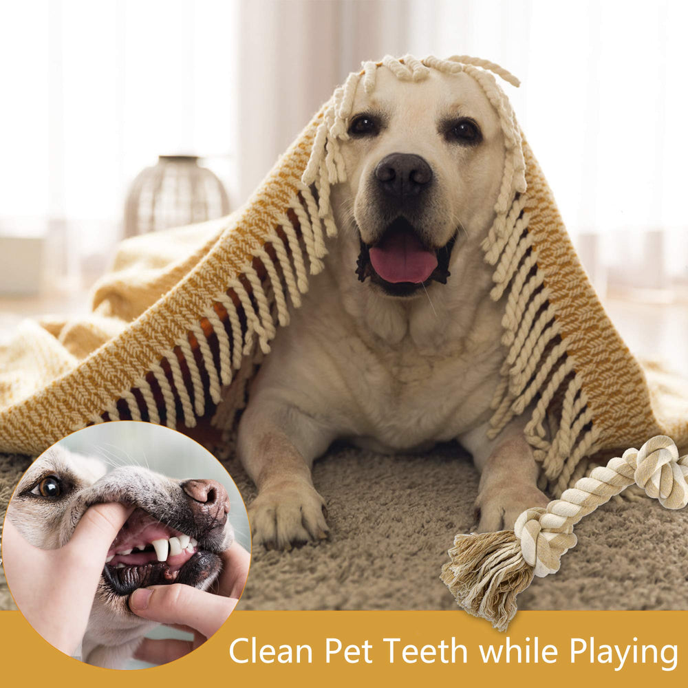 PetiFine rope toy supports teeth cleaning during daily chews
