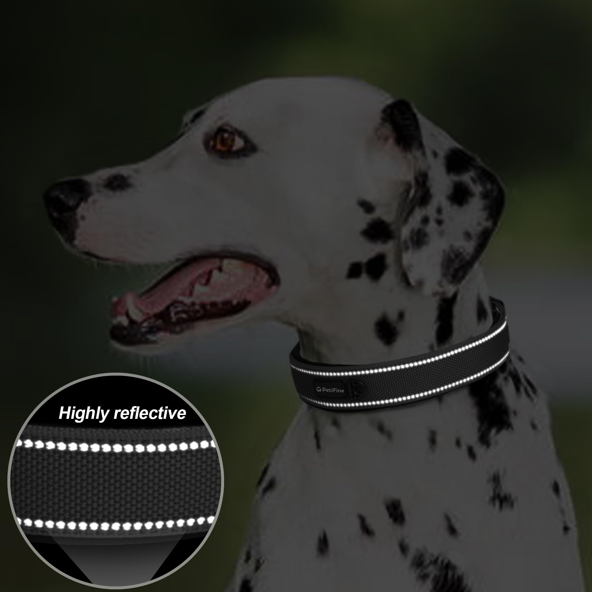 PetiFine durable knit webbing collar designed for long-lasting active use