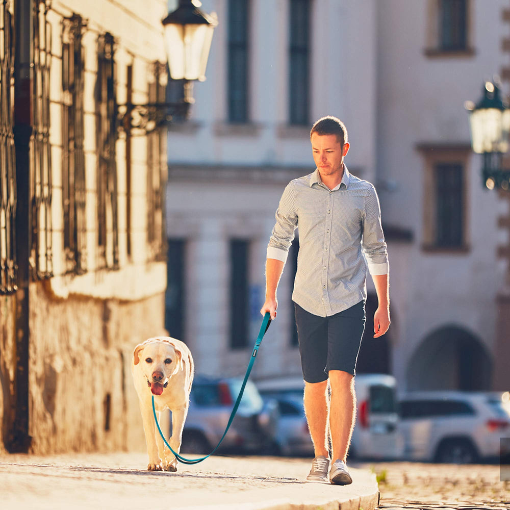 PetiFine durable nylon material designed for everyday wear and adventures.