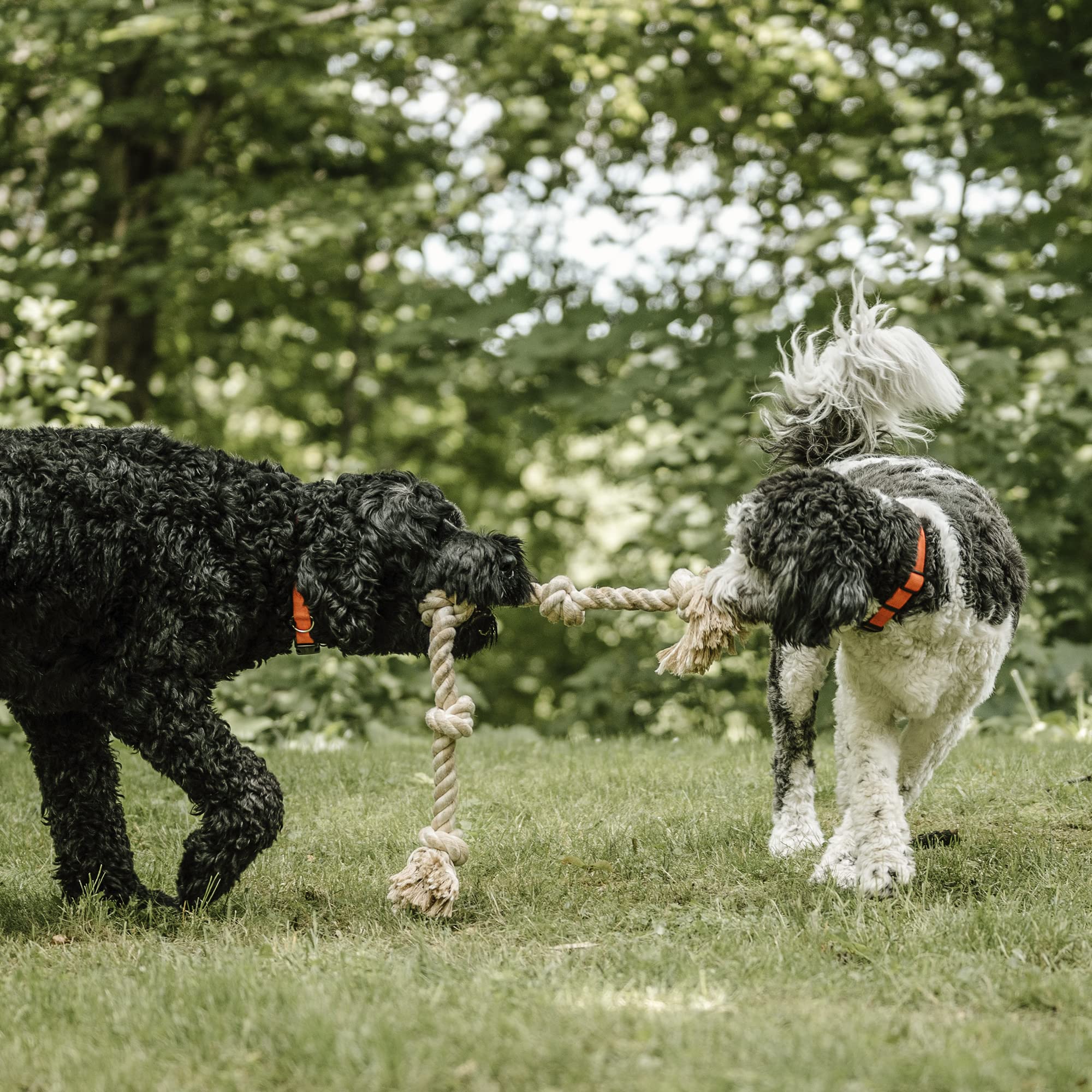 PetiFine gift-ready rope toy for versatile indoor and outdoor fun