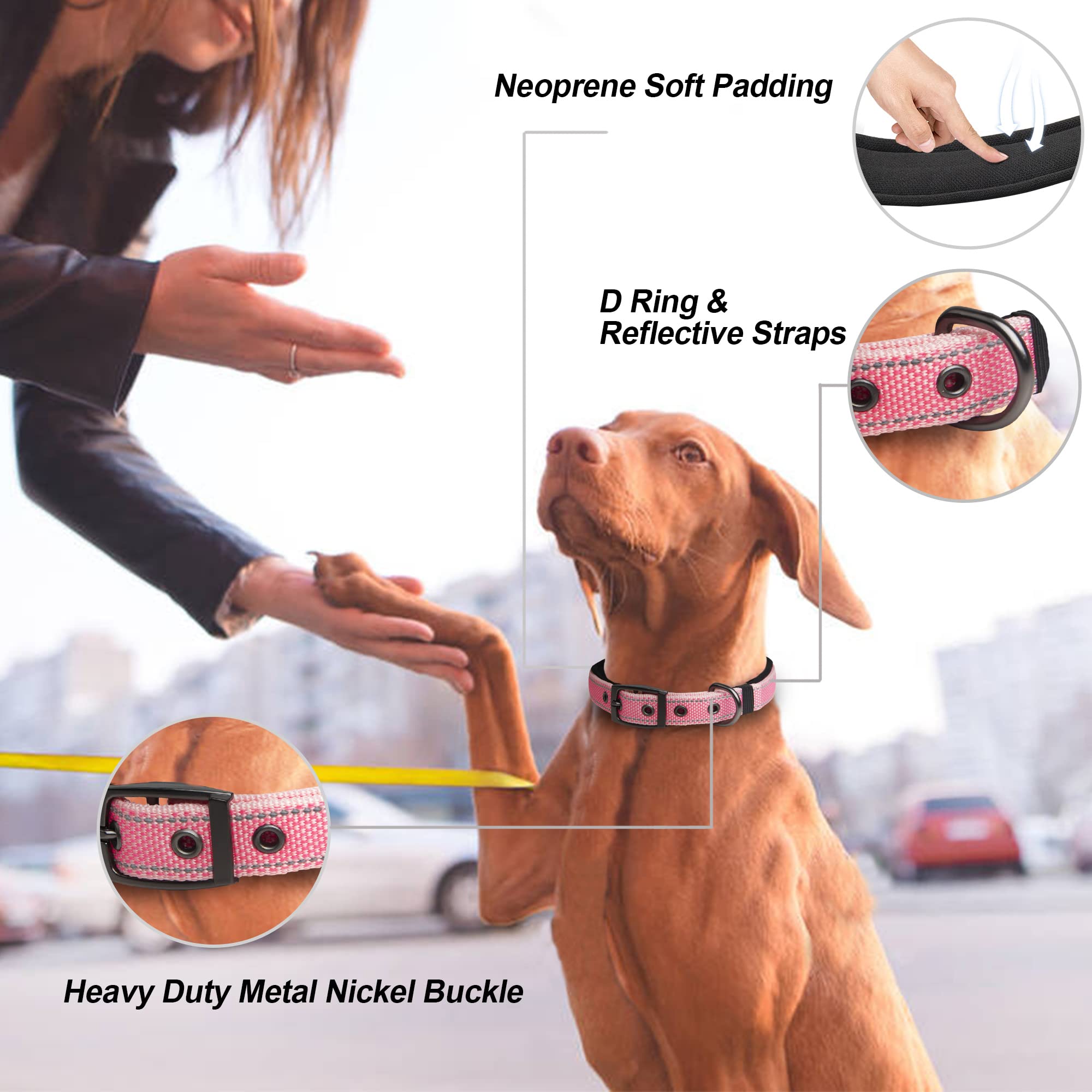 PetiFine heavy duty metal buckle detail highlighting secure closure for strong dogs.