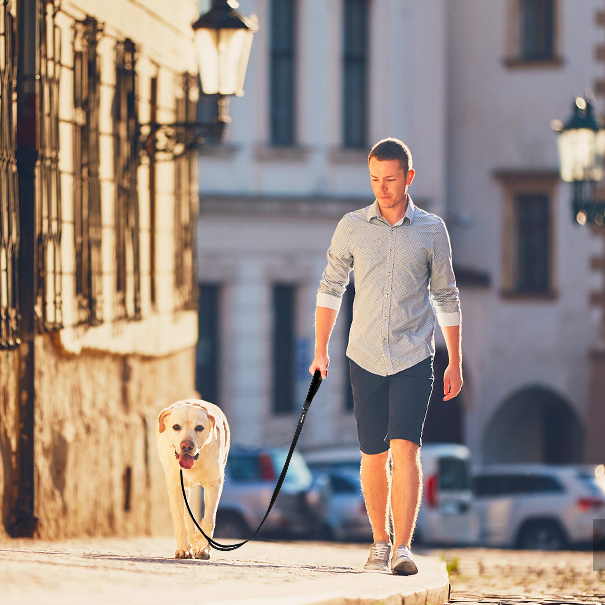 PetiFine leash metal D-ring to hang accessories like a poop bag holder.