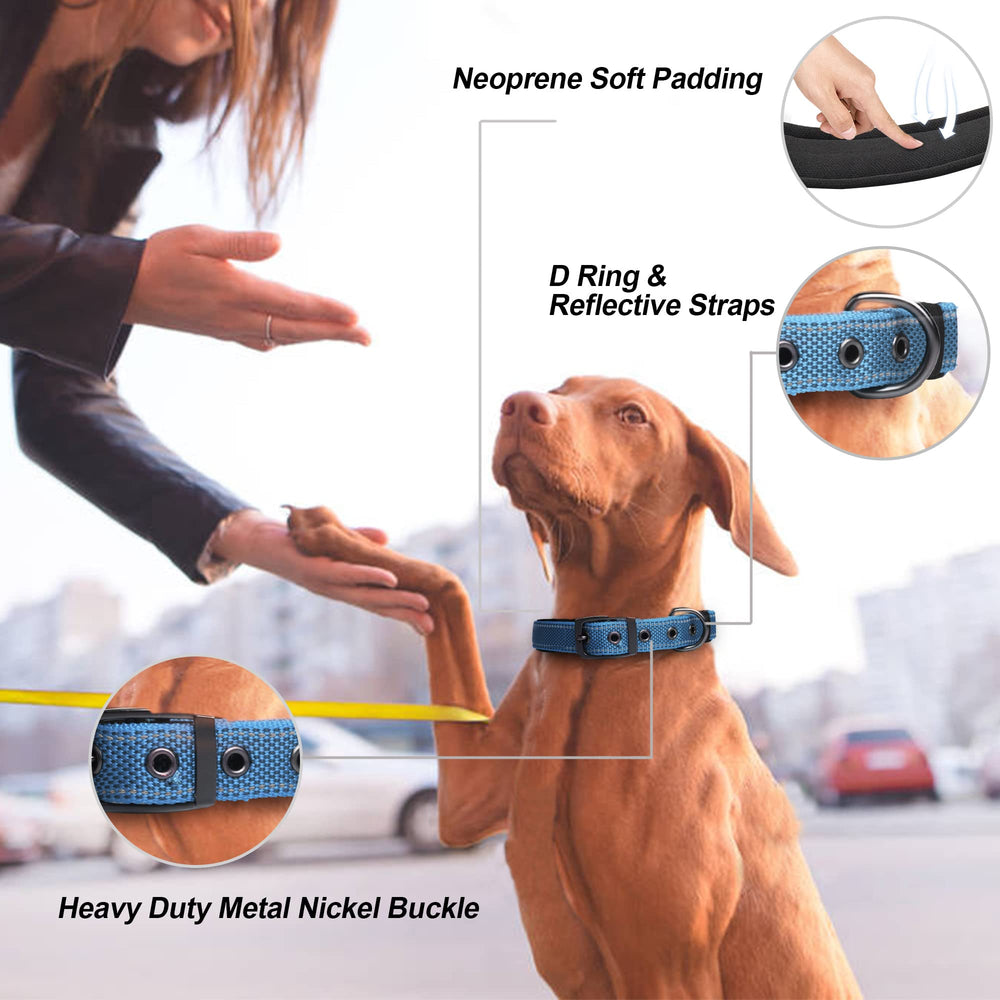 PetiFine dog collar metal buckle close-up highlighting secure leash attachment.