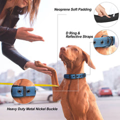 PetiFine dog collar metal buckle close-up highlighting secure leash attachment.