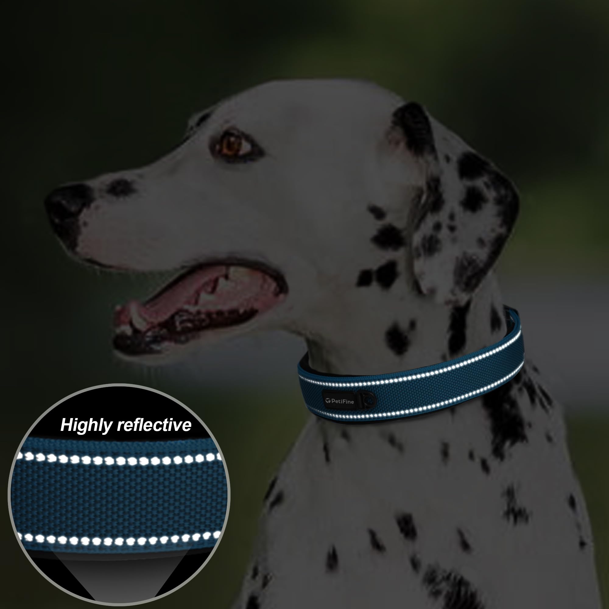 PetiFine reflective straps increase visibility during early morning walks.