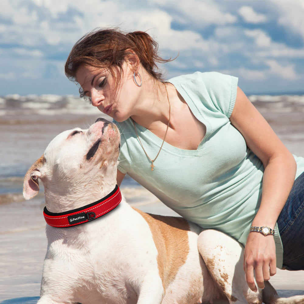 PetiFine safety-ready collar designed for reliable daily walks