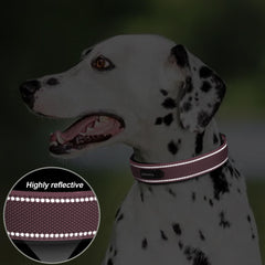 PetiFine size chart and neck measurement guide help you find the perfect fit.