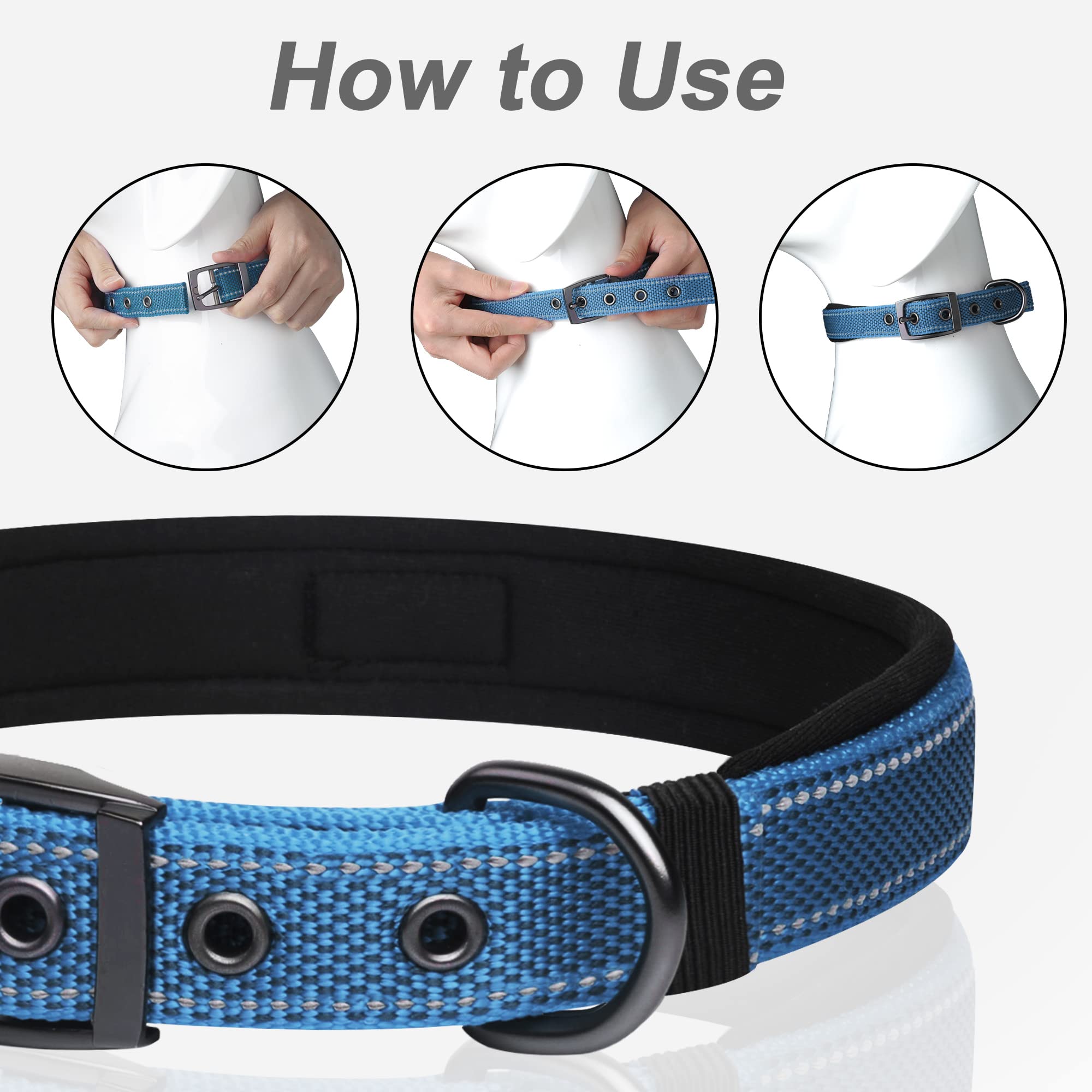 PetiFine heavy-duty collar with stainless steel hardware for durability.