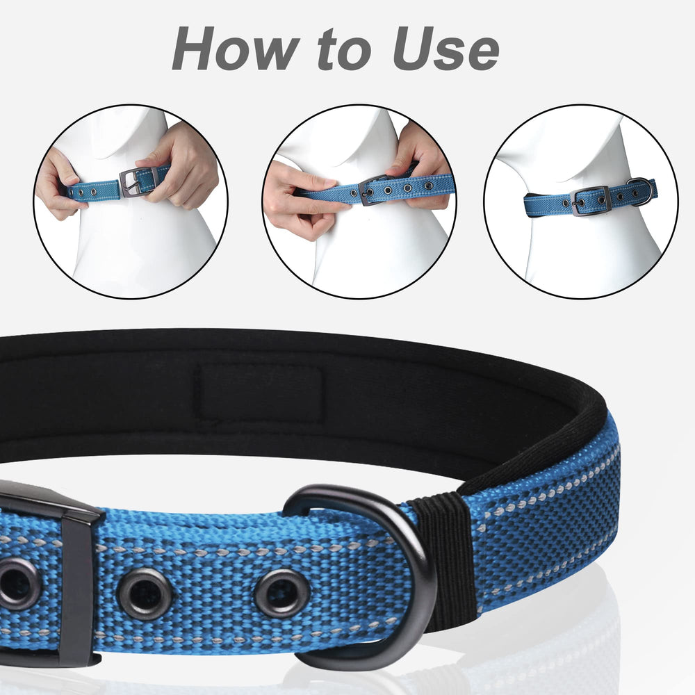PetiFine heavy-duty collar with stainless steel hardware for durability.