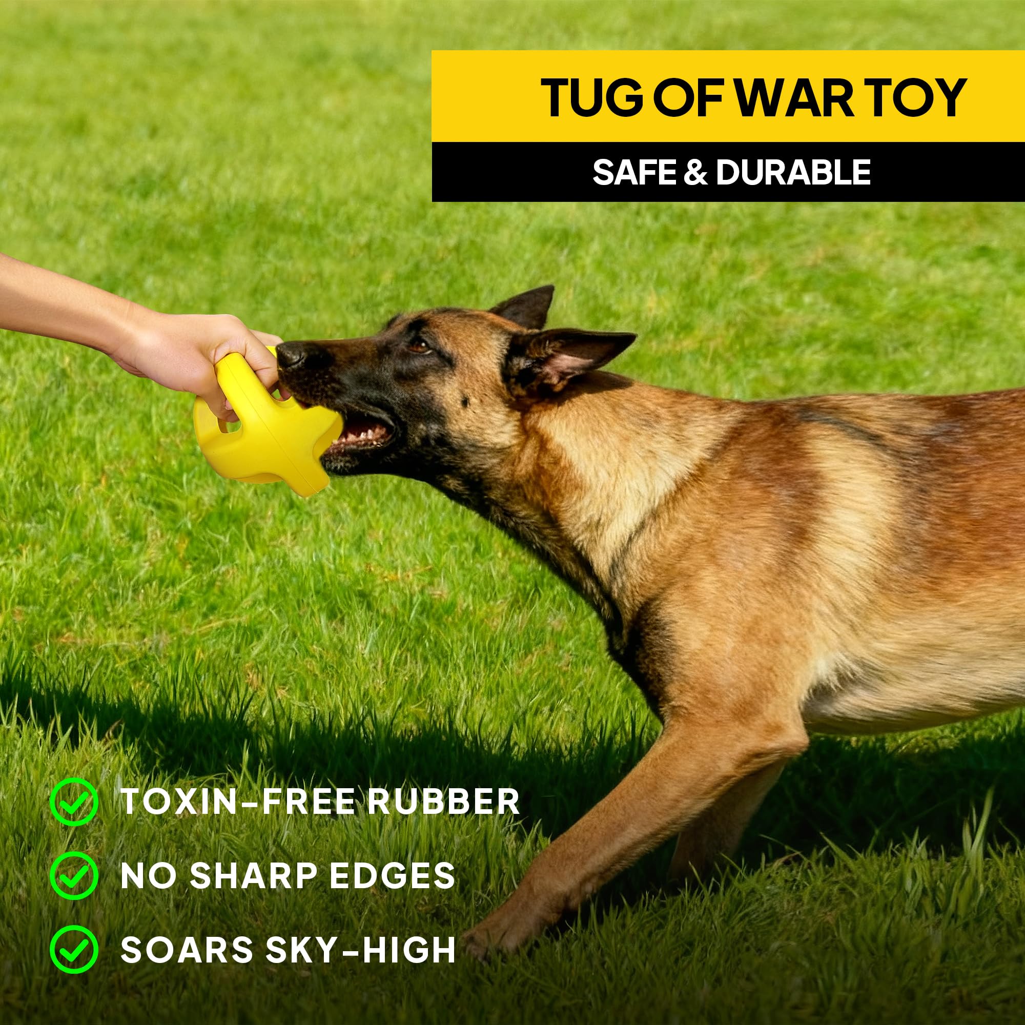 Dog playing with twist-shaped PetiFine ball during interactive fetch and tug.