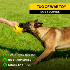 Dog playing with twist-shaped PetiFine ball during interactive fetch and tug.