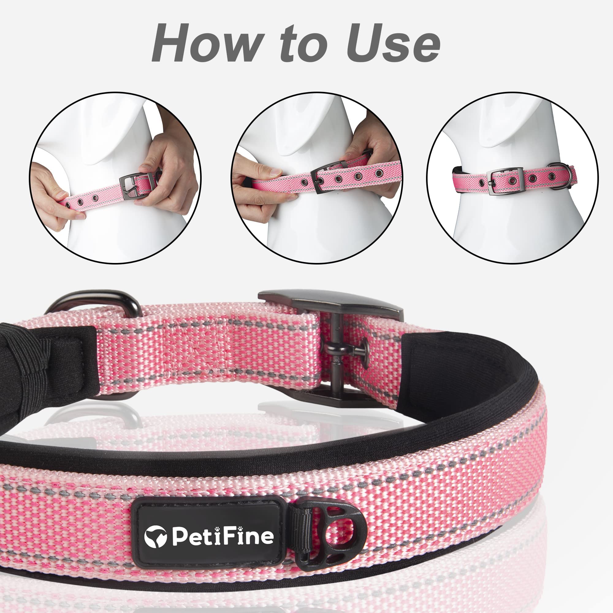 PetiFine collar on urban dog during morning strolls shows versatile style and safety.