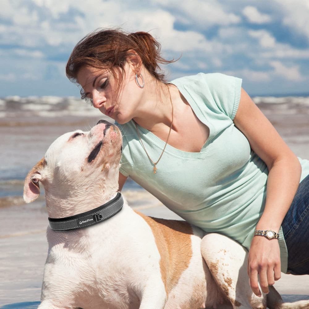 PetiFine walking and hiking collar ready for daily adventures
