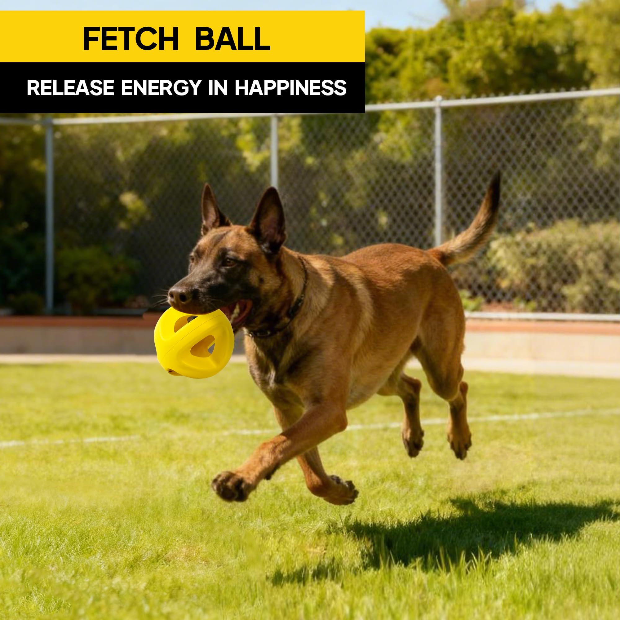 PetiFine ball is dishwasher safe for quick cleaning after messy sessions.