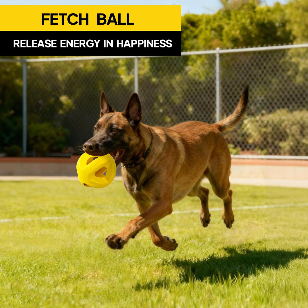 PetiFine ball is dishwasher safe for quick cleaning after messy sessions.