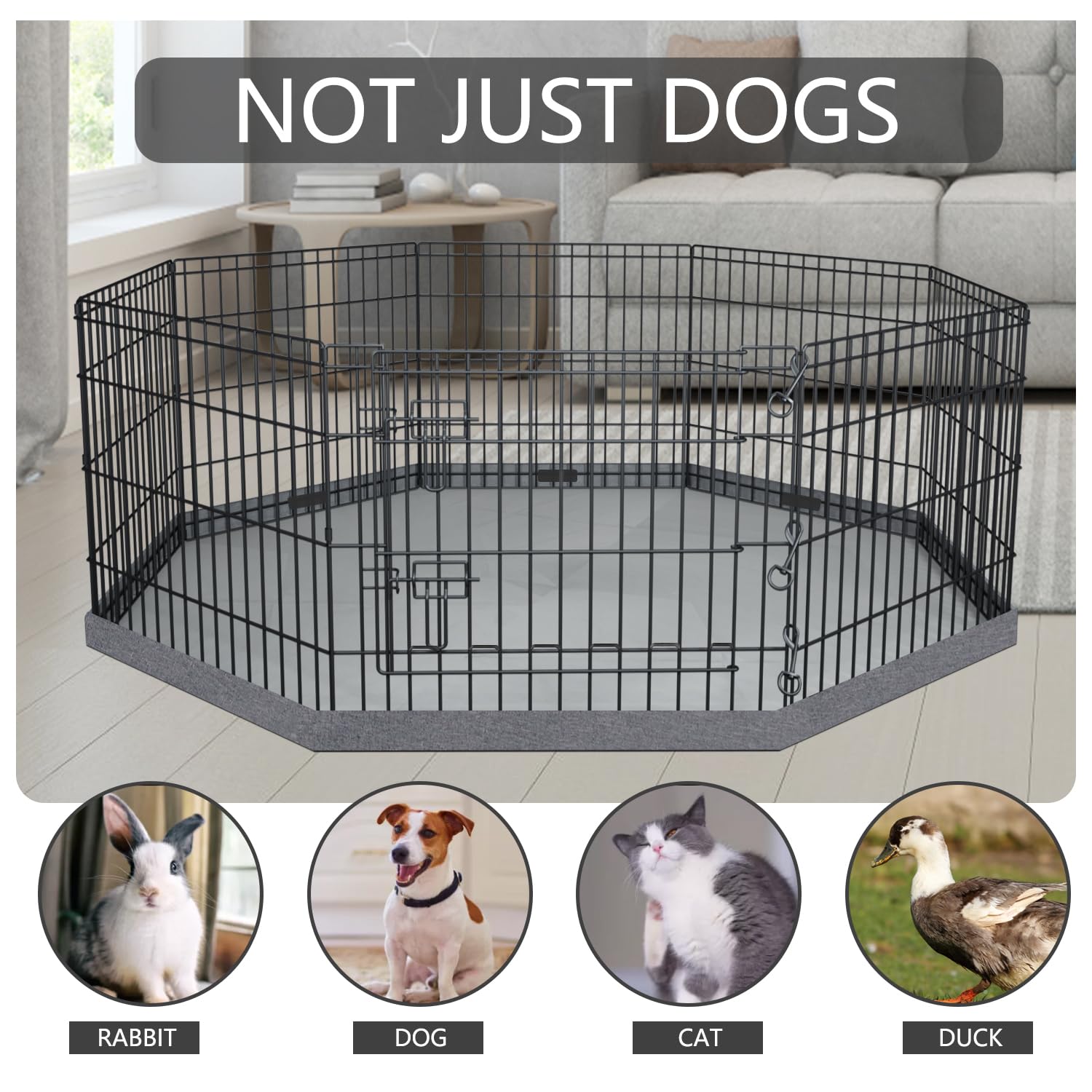 PETIME fold-and-store design for portable pet play space