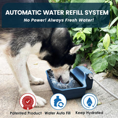 PETIMI 1 gallon capacity water dispenser shown outdoors ready for pets.