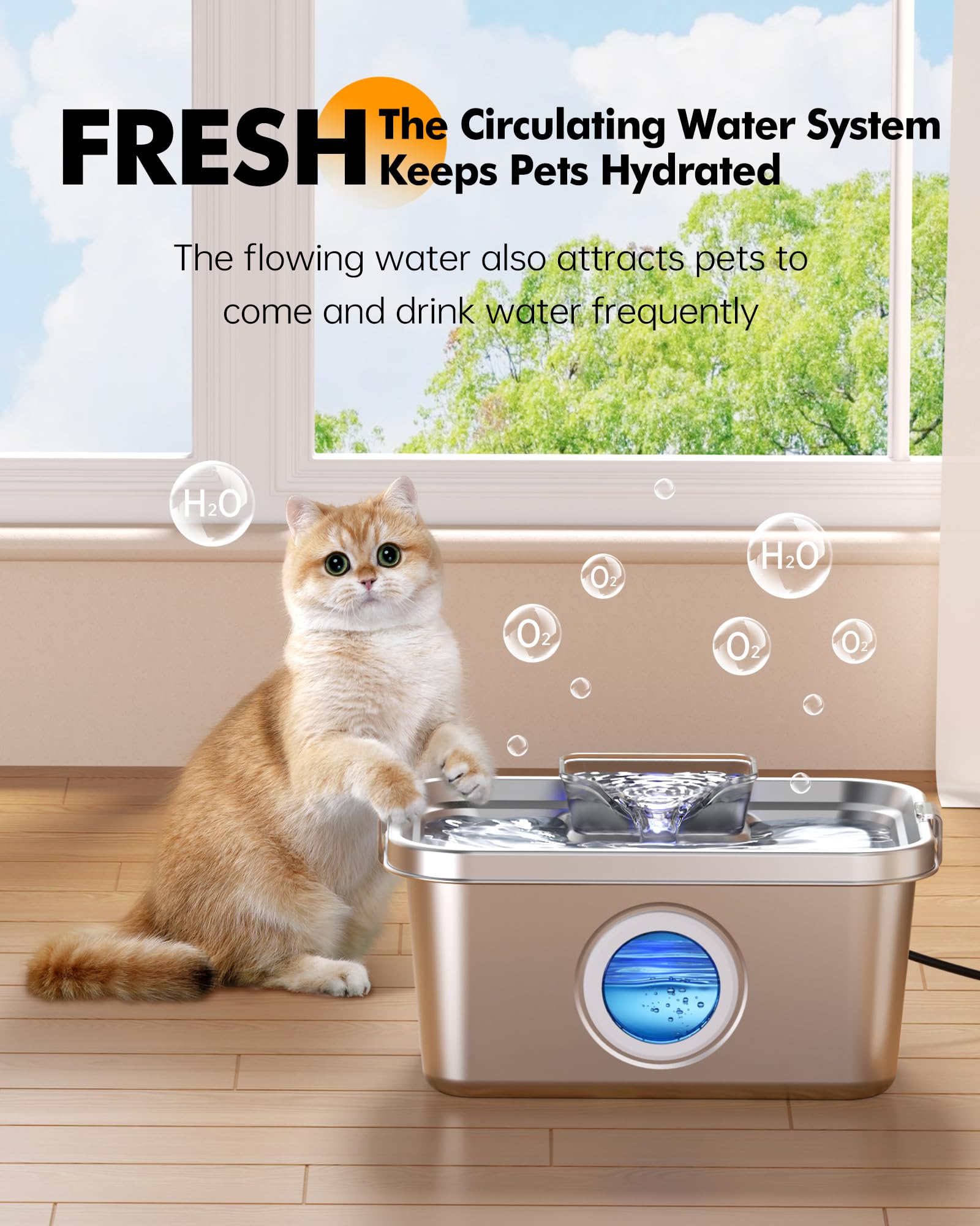 PETIMI replacement filters pack supports ongoing fresh water access.