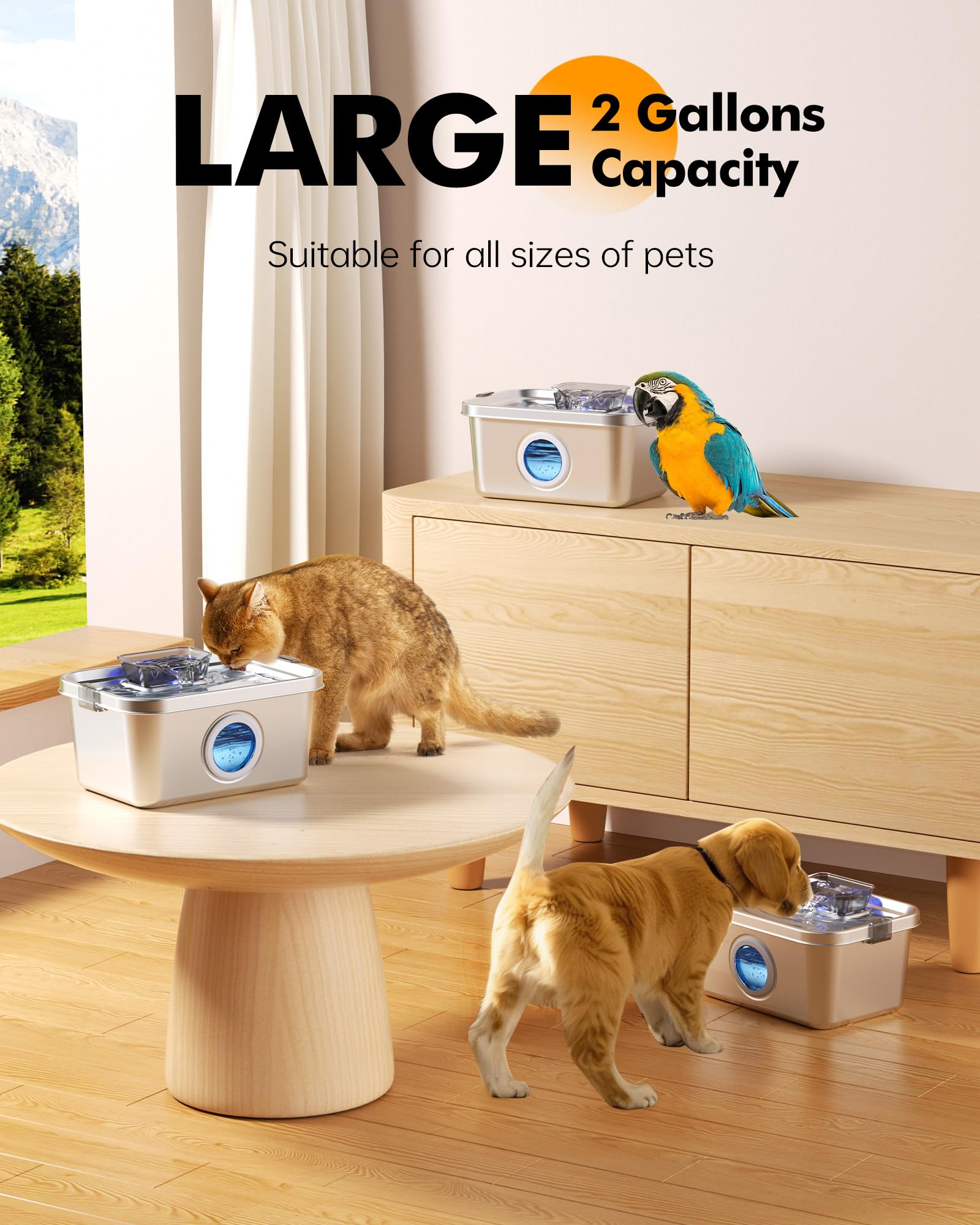 PETIMI ultra-quiet operation keeps homes peaceful while pets drink.