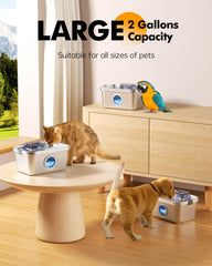 PETIMI ultra-quiet operation keeps homes peaceful while pets drink.