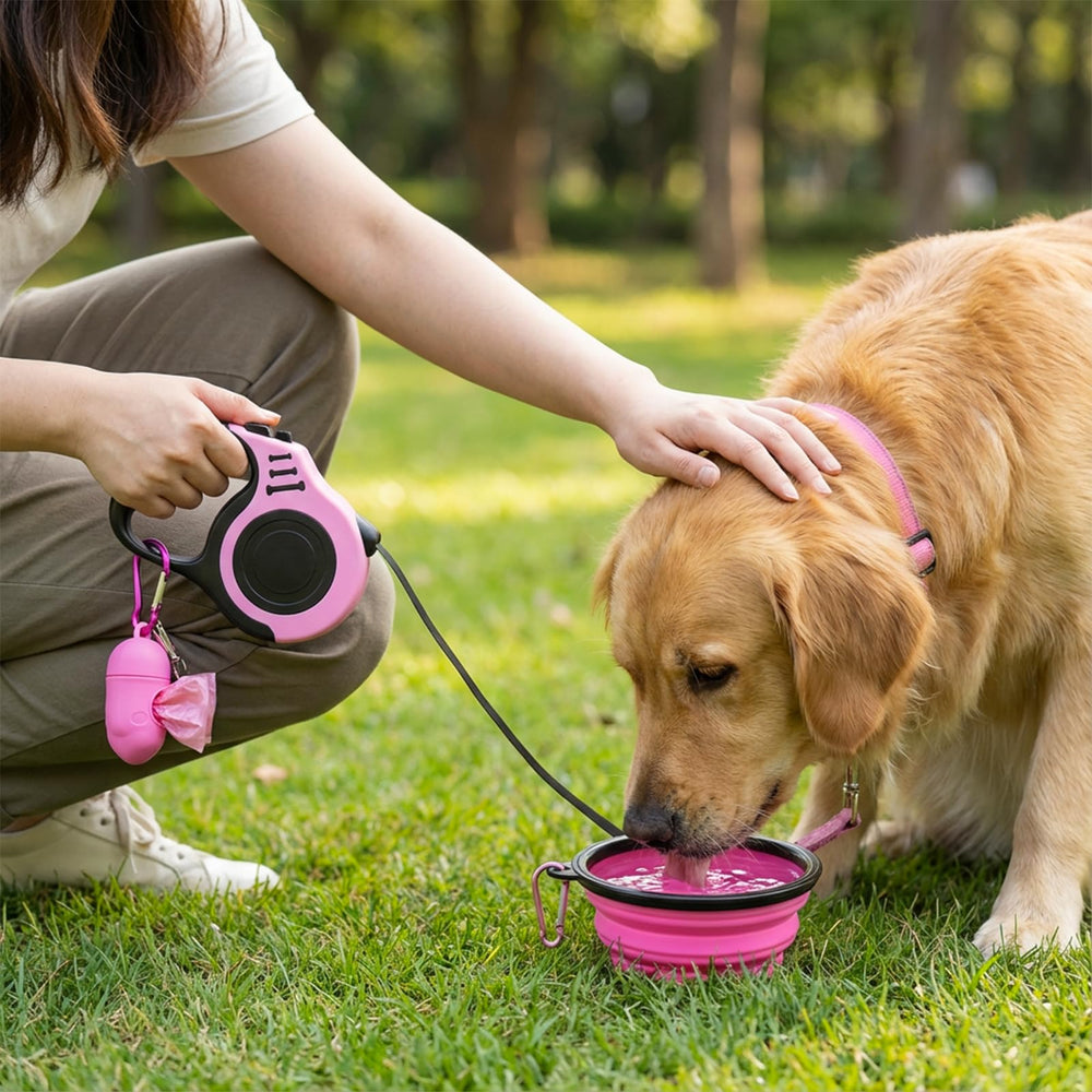PETIMP retractable leash showing 16ft length for controlled outdoor freedom.
