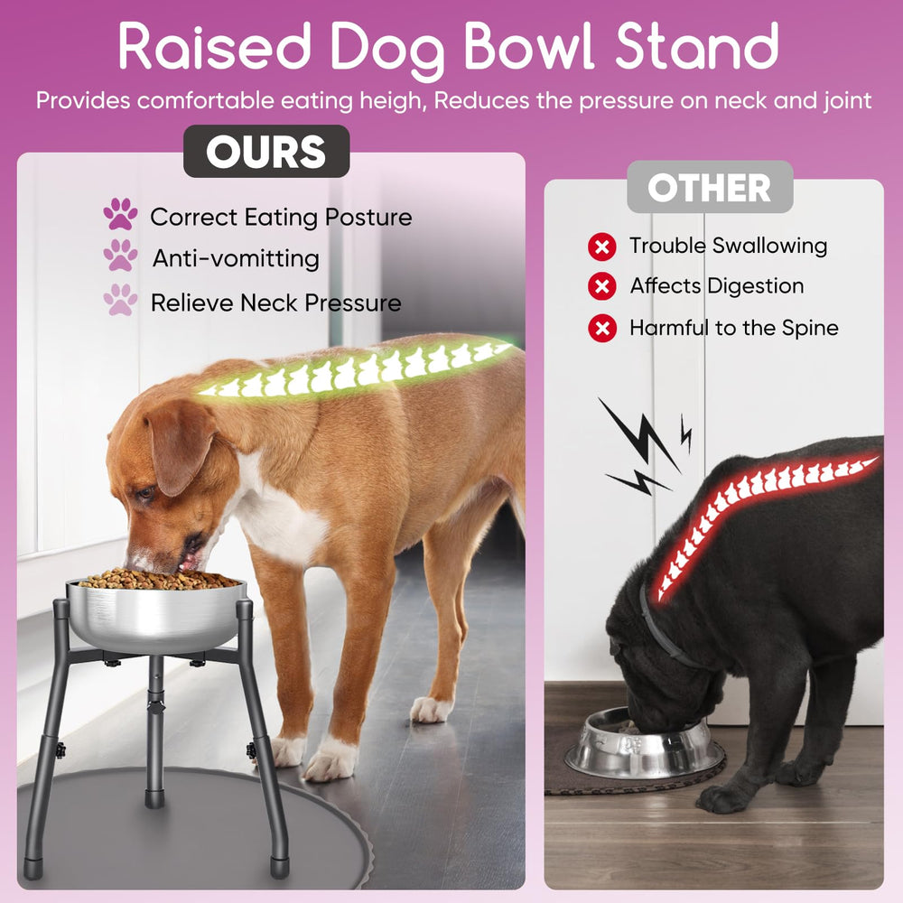 PETINBOX three-height-settings allow tailored bowl rim height.