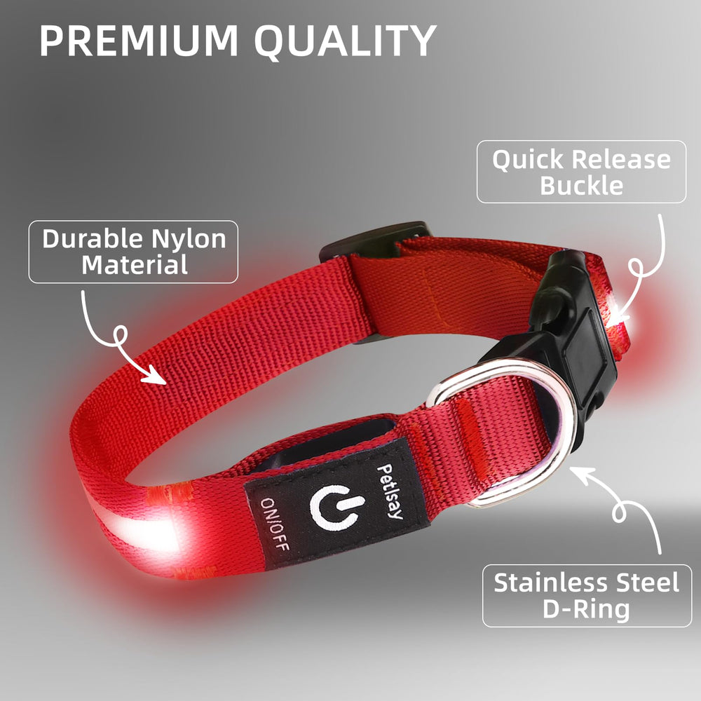 PetIsay adjustable glow collar on dog demonstrating secure fit