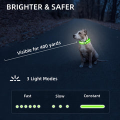 PetIsay adjustable nylon dog collar with secure buckle for comfortable fit.