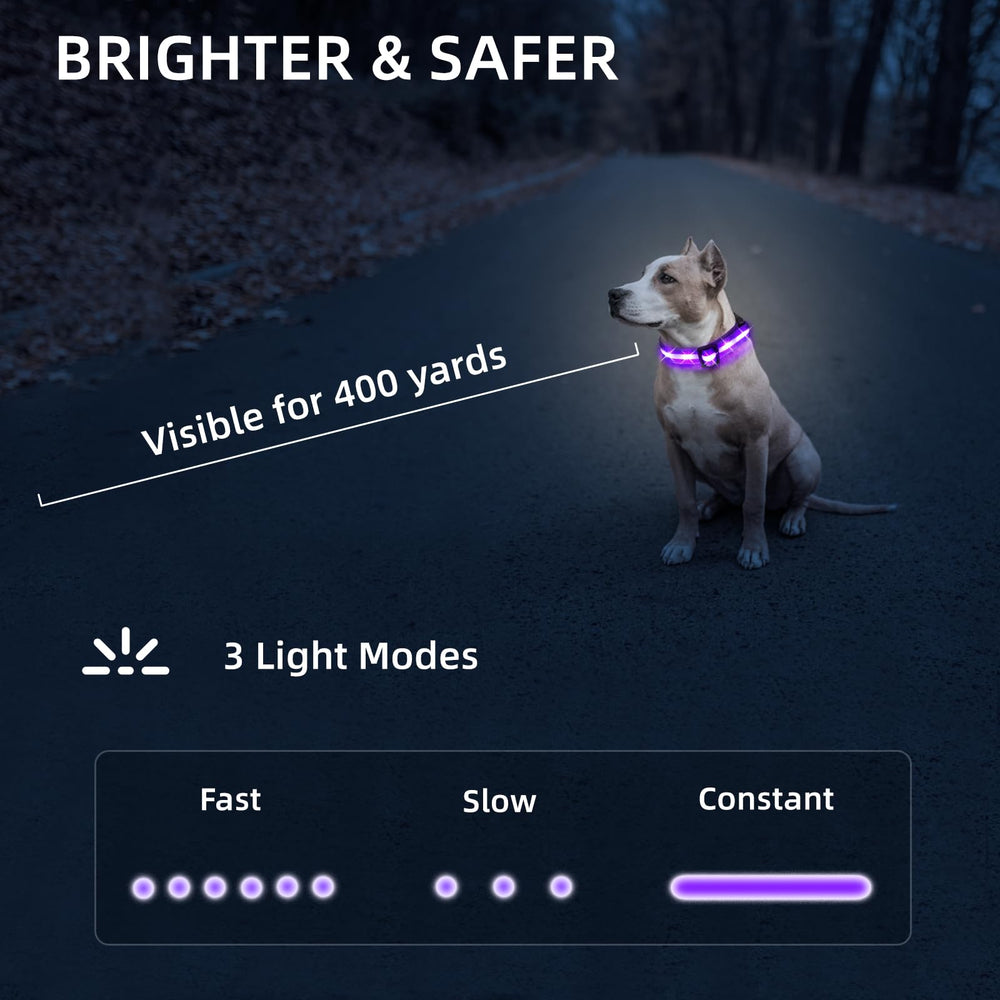 PetIsay dog collar displaying fast slow and steady LED modes for safety