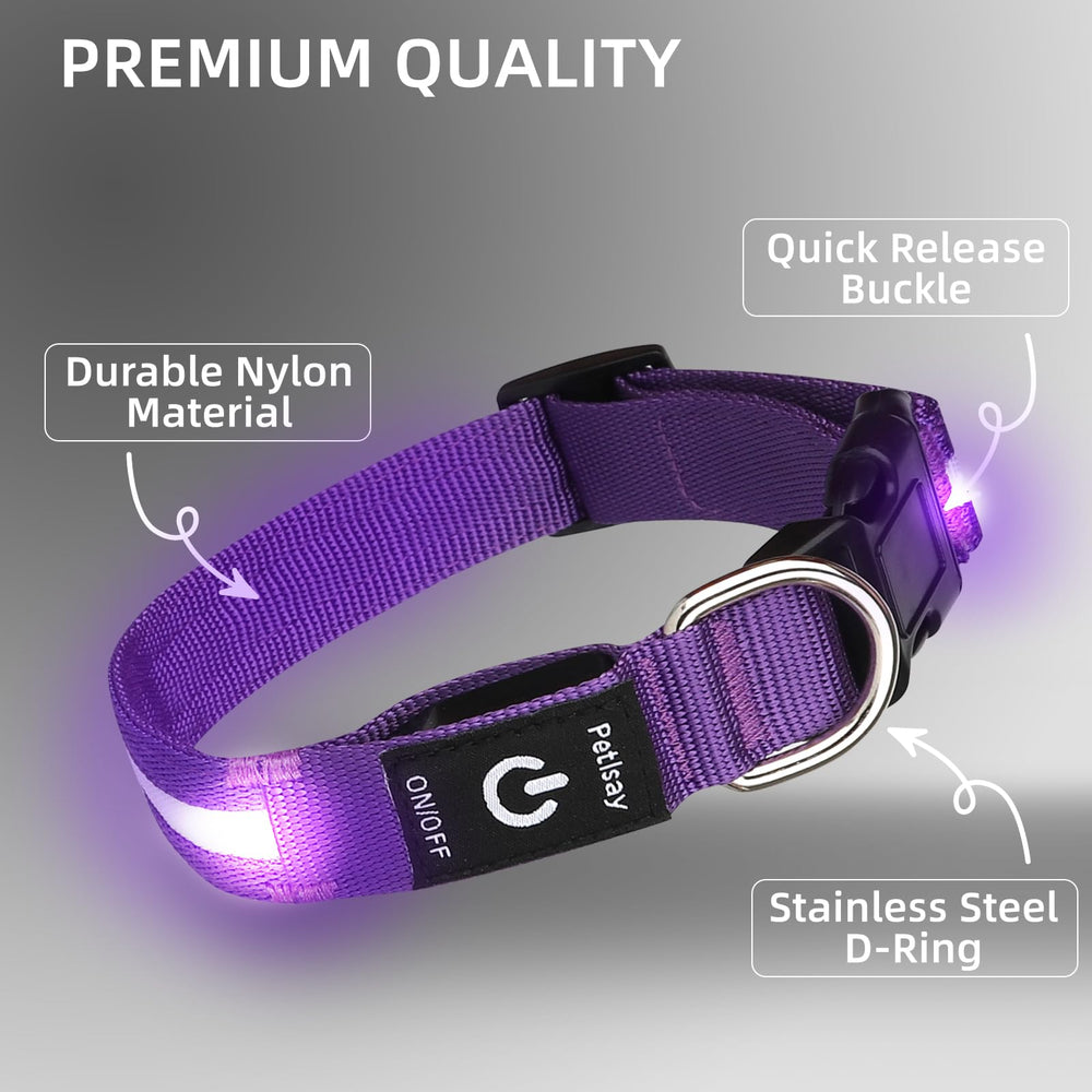 PetIsay night walking dog collar improving visibility and safety