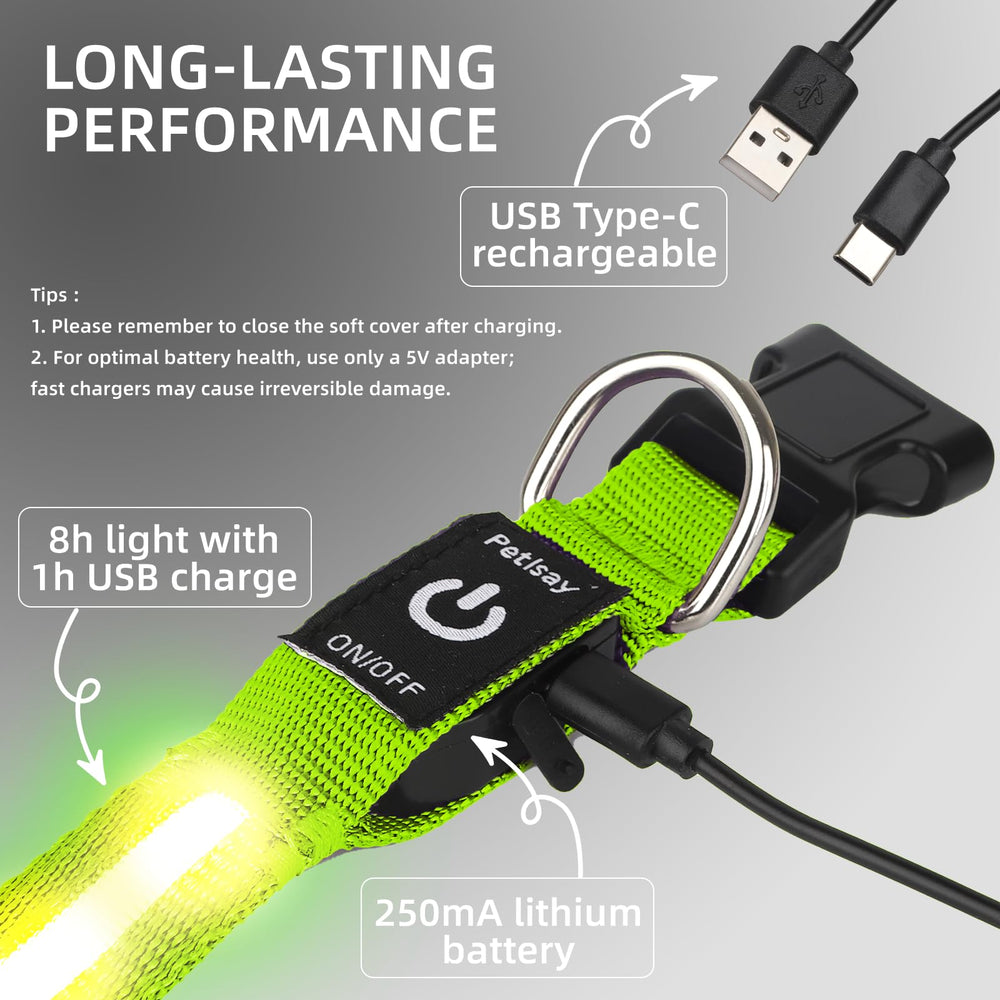 PetIsay green LED dog collar ideal for night safety and visibility.