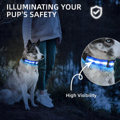 PetIsay light-up collar durable nylon strap for everyday adventures