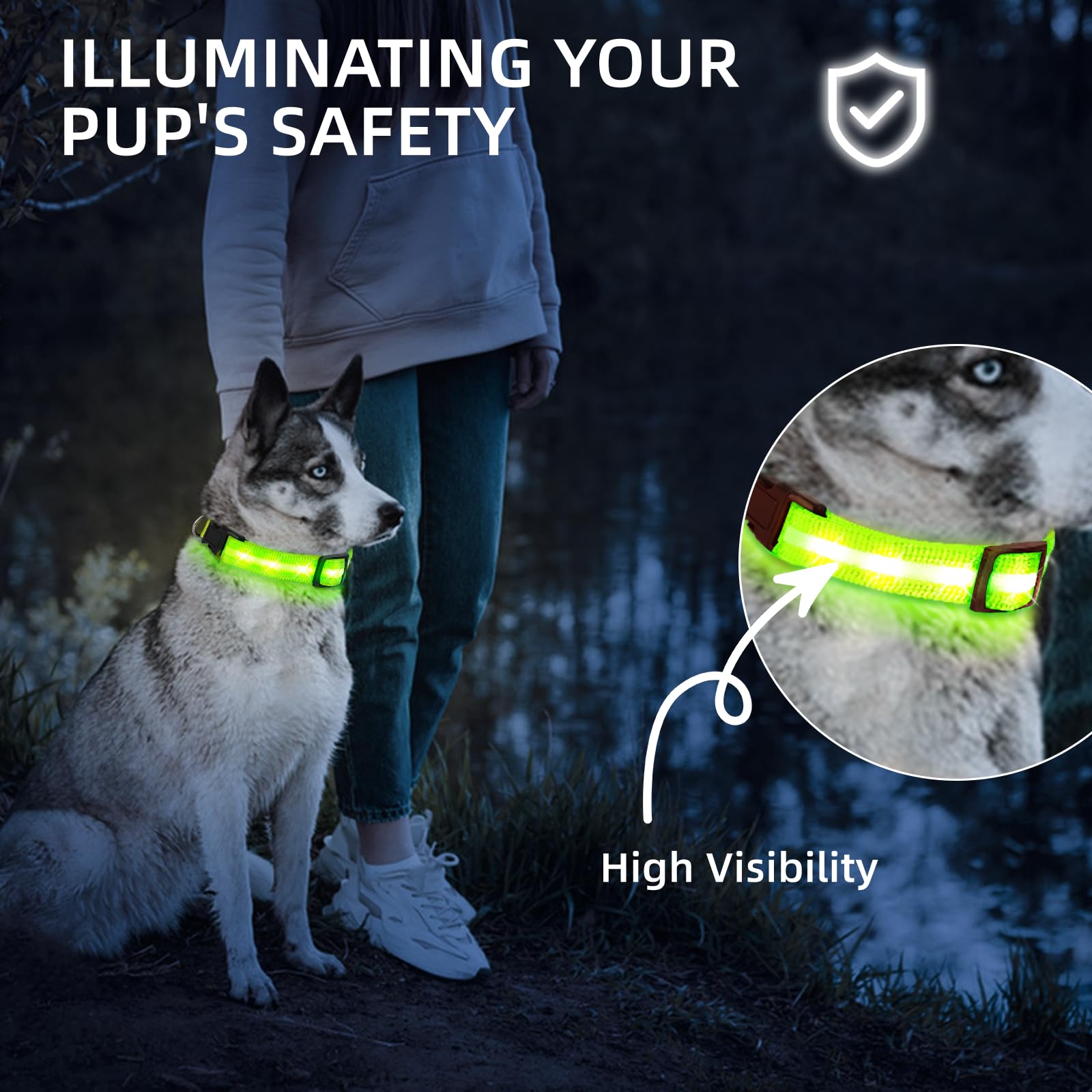 PetIsay light up dog collar with durable nylon strap for daily adventures