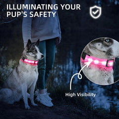 PetIsay pink LED collar in slow-flash mode for evening safety