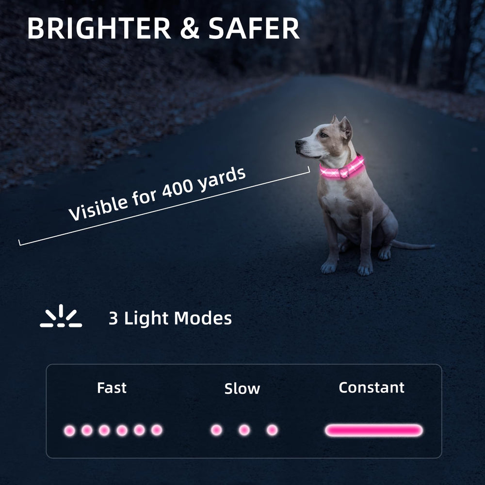 PetIsay pink collar in steady mode offering continuous visibility