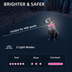 PetIsay pink collar in steady mode offering continuous visibility