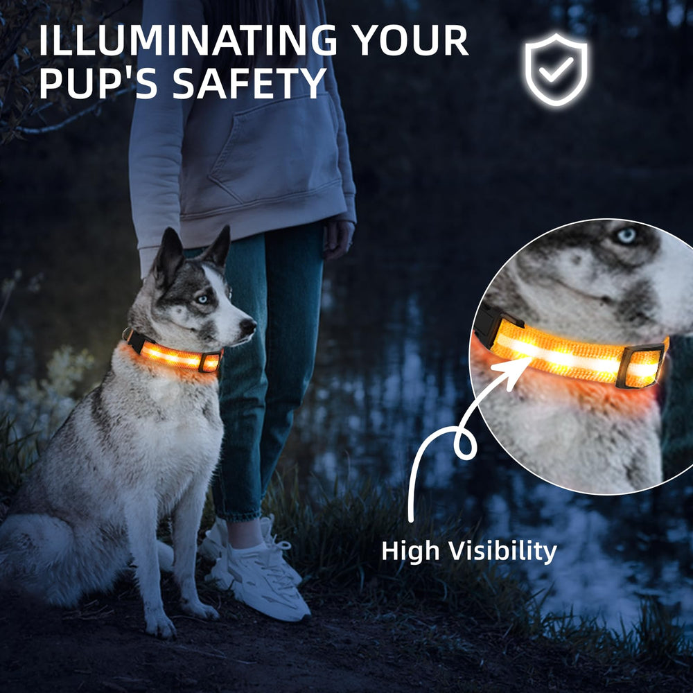 PetIsay LED dog collar side glow enhances visibility during evening walks.