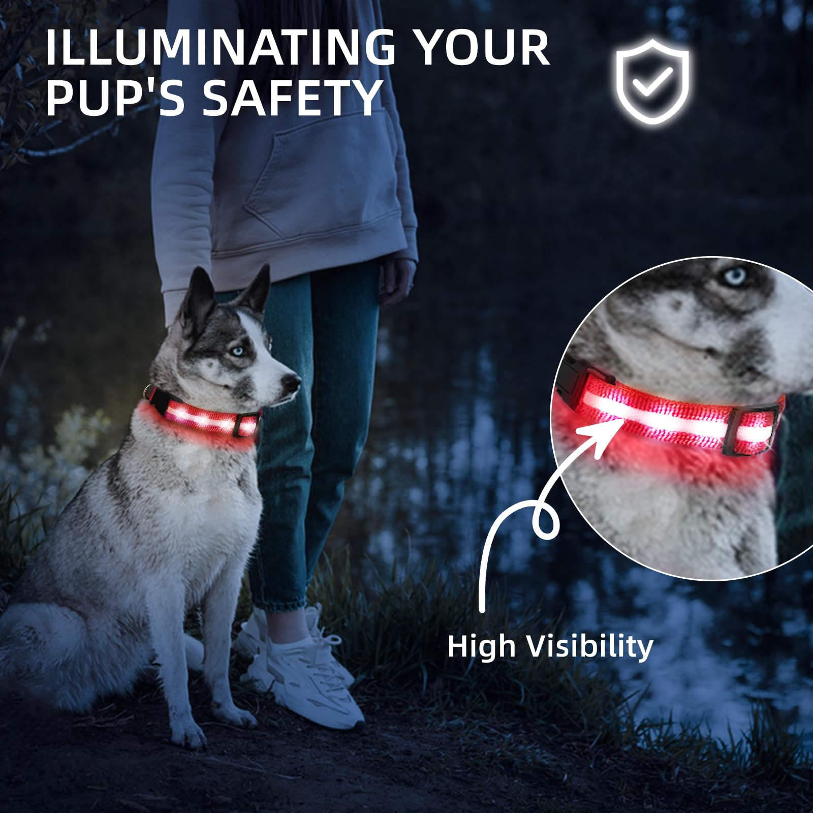 PetIsay LED dog collar side view shows adjustable soft fit