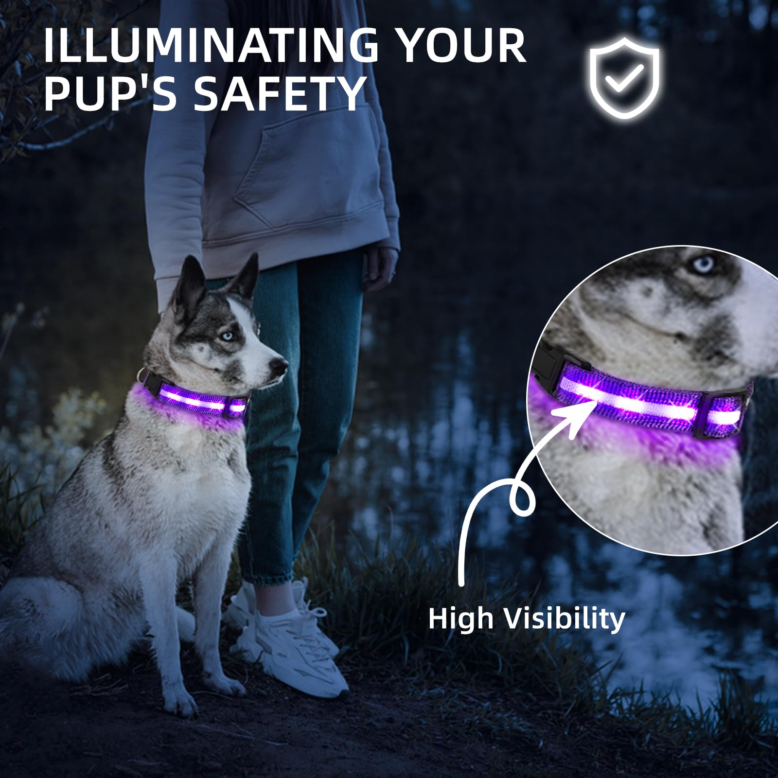 PetIsay LED dog collar waterproof durability for rain and mud