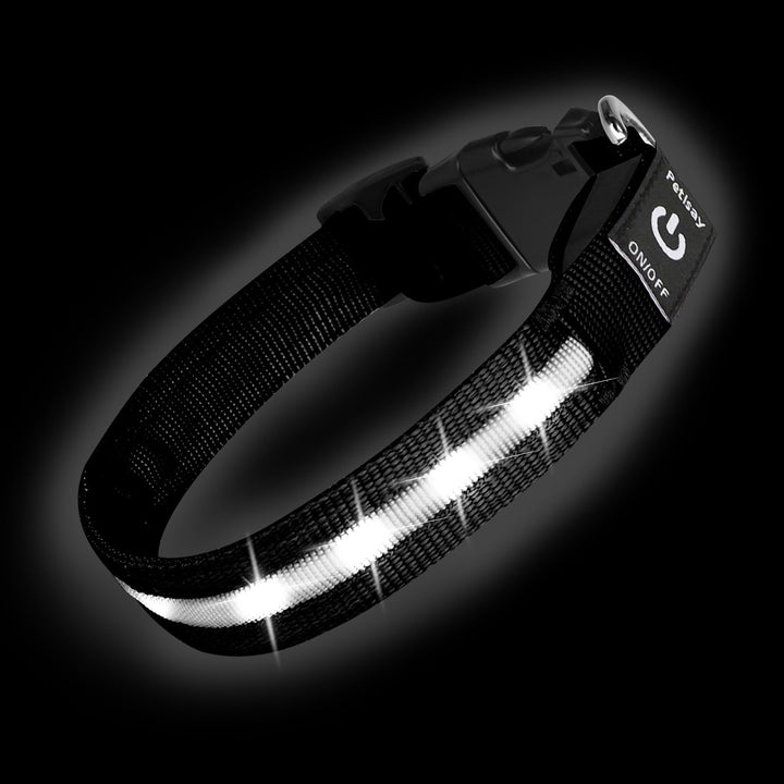 PetIsay Super Bright LED Dog Collar in white for medium dogs, high night visibility.