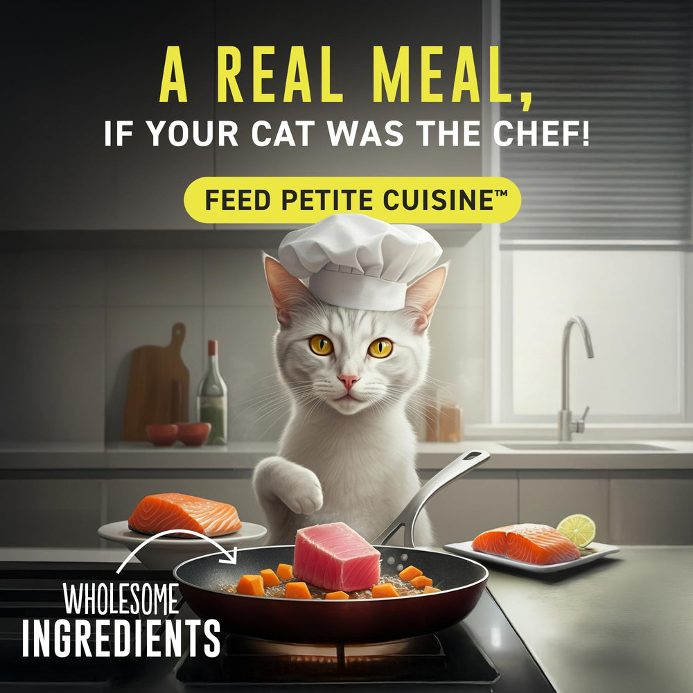 PETITE CUISINE broth-rich appearance emphasizes hydration and texture.