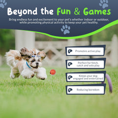 Petite Paws colorful chew toy design for engaging play and teething.