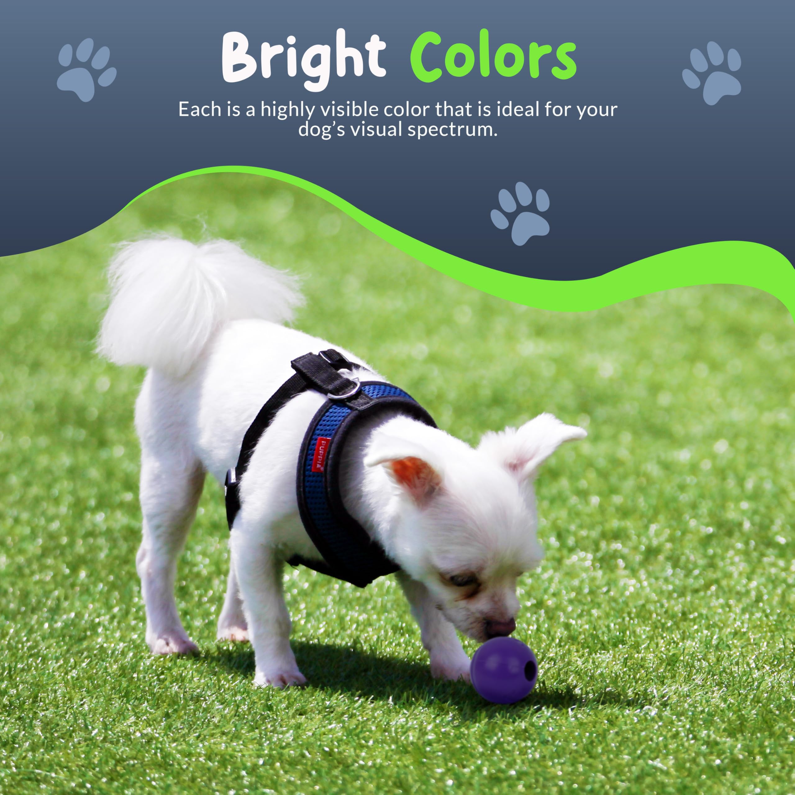 Petite Paws fetch-ready ball doubles as a durable indoor/outdoor toy.