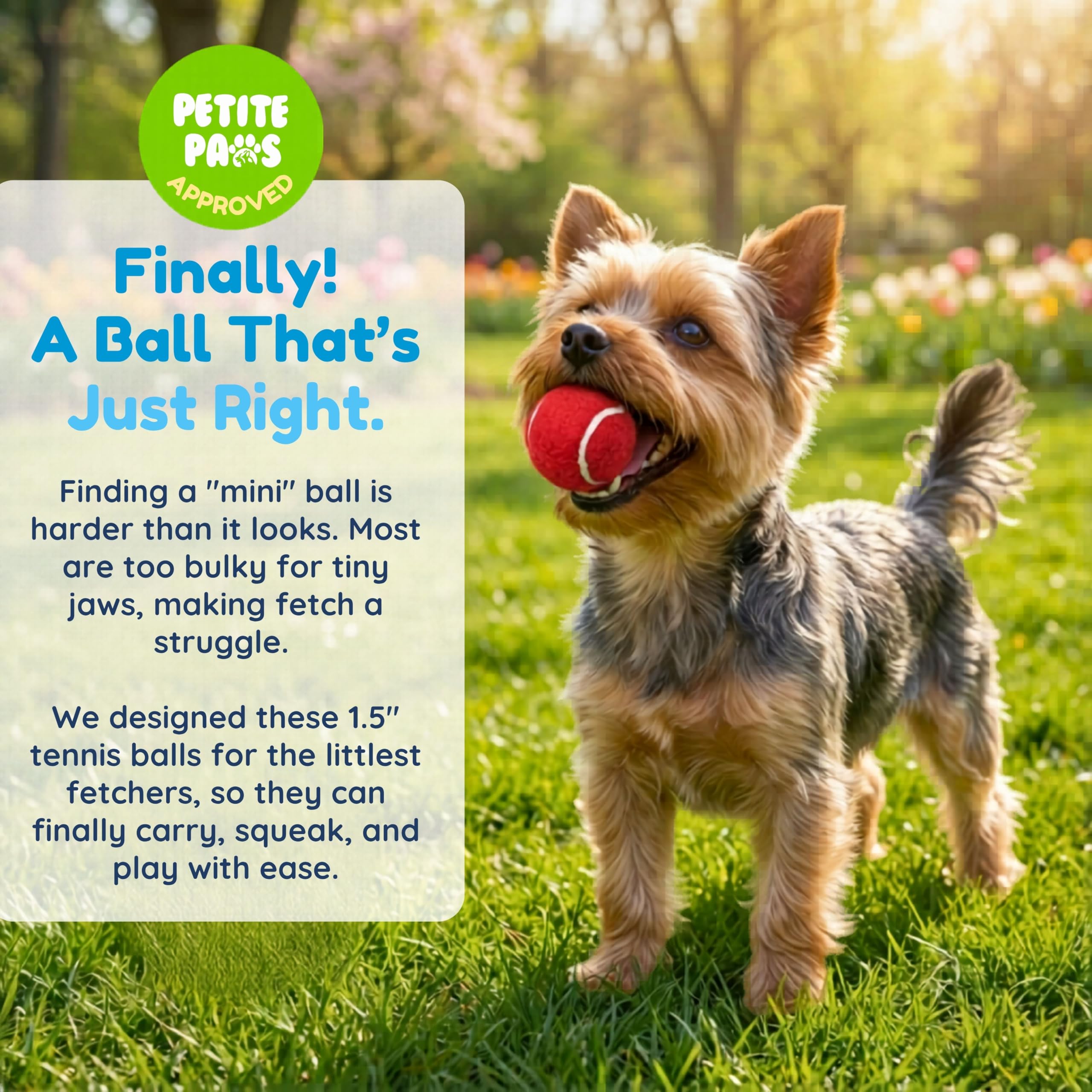Petite Paws blue squeaky tennis ball aids puppy play with high visibility.
