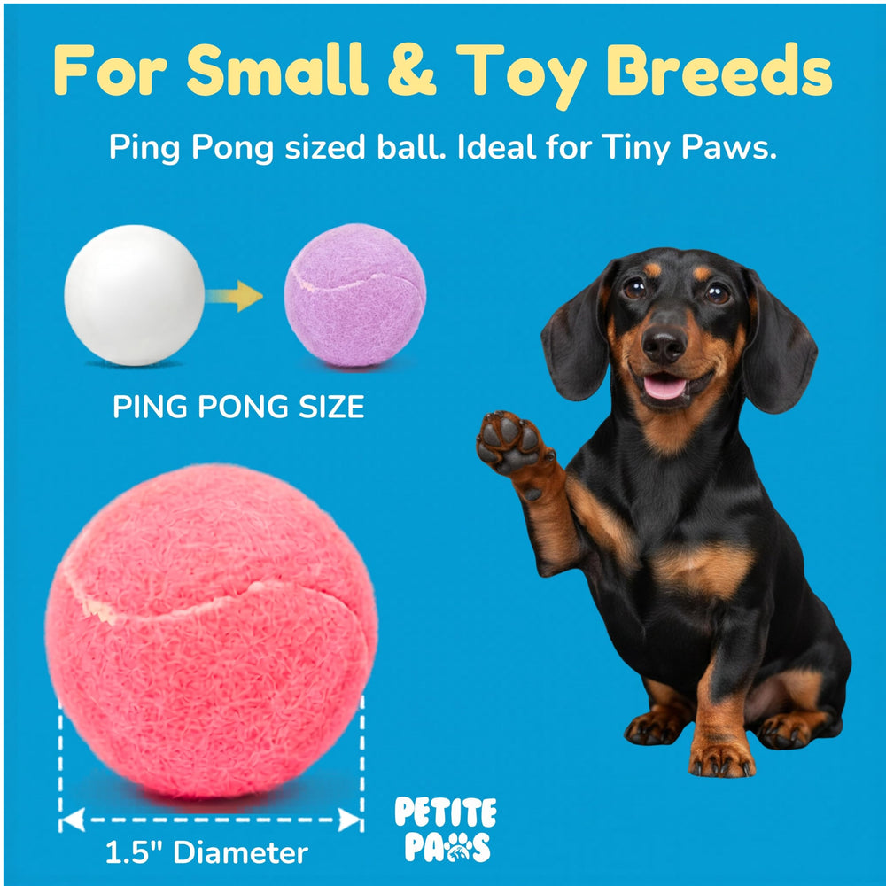 Petite Paws green squeaky tennis ball suited for indoor games.