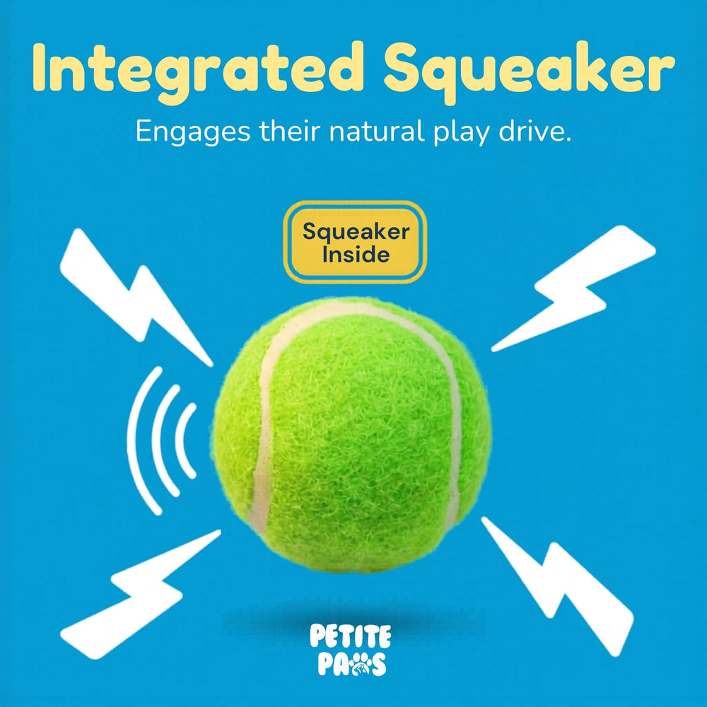 Petite Paws orange squeaky ball designed for quick training rewards.