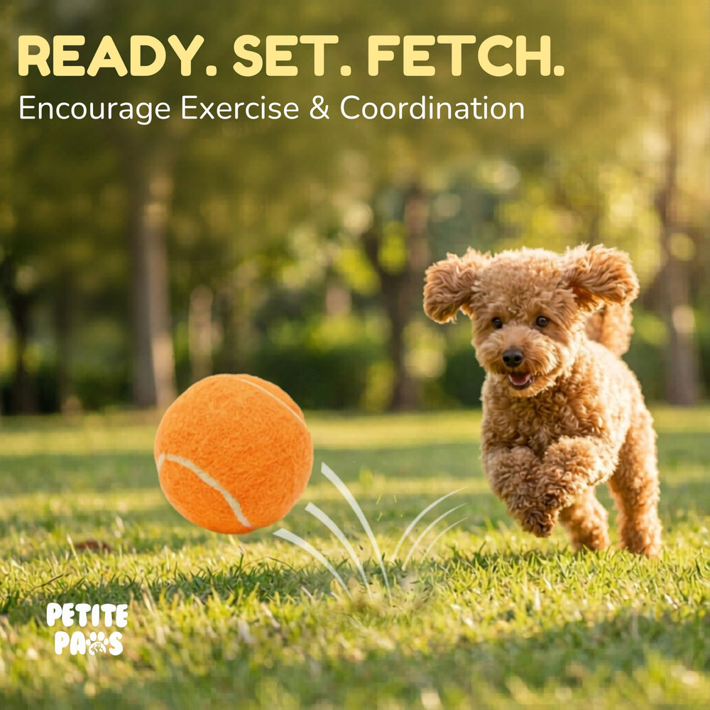 Petite Paws pink squeaky tennis ball ideal for small breed dogs.